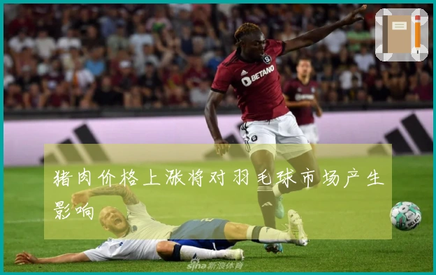 猪肉价格上涨将对羽毛球市场产生影响